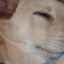 Kaylee Vance - @ilovegrimmie360 - Twitter