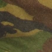 FLippinkhof's profile picture. 