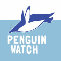 Penguin Watch (@penguin_watch) 's Twitter Profile