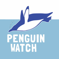 Penguin Watch(@penguin_watch) 's Twitter Profile Photo