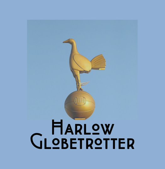 SpursFanHG Profile Picture