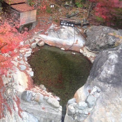 ❶旅絶景:47県15カ国/高山・長野・伊豆・南紀 ❷温泉:430温泉地/奥飛騨・山田・修善寺・湯の峰 ❸鉄道:福島〜滋賀完乗/高山線・中央本線・伊東線・紀勢本線 ❹アニメ漫画:150作品/ジブリ・三国志・CLANNAD・さくら荘・花いろ・氷菓・スケダン・少林寺 ❺グルメ:二郎直系亜流76店舗/家系・海鮮・肉・蕎麦・甘味