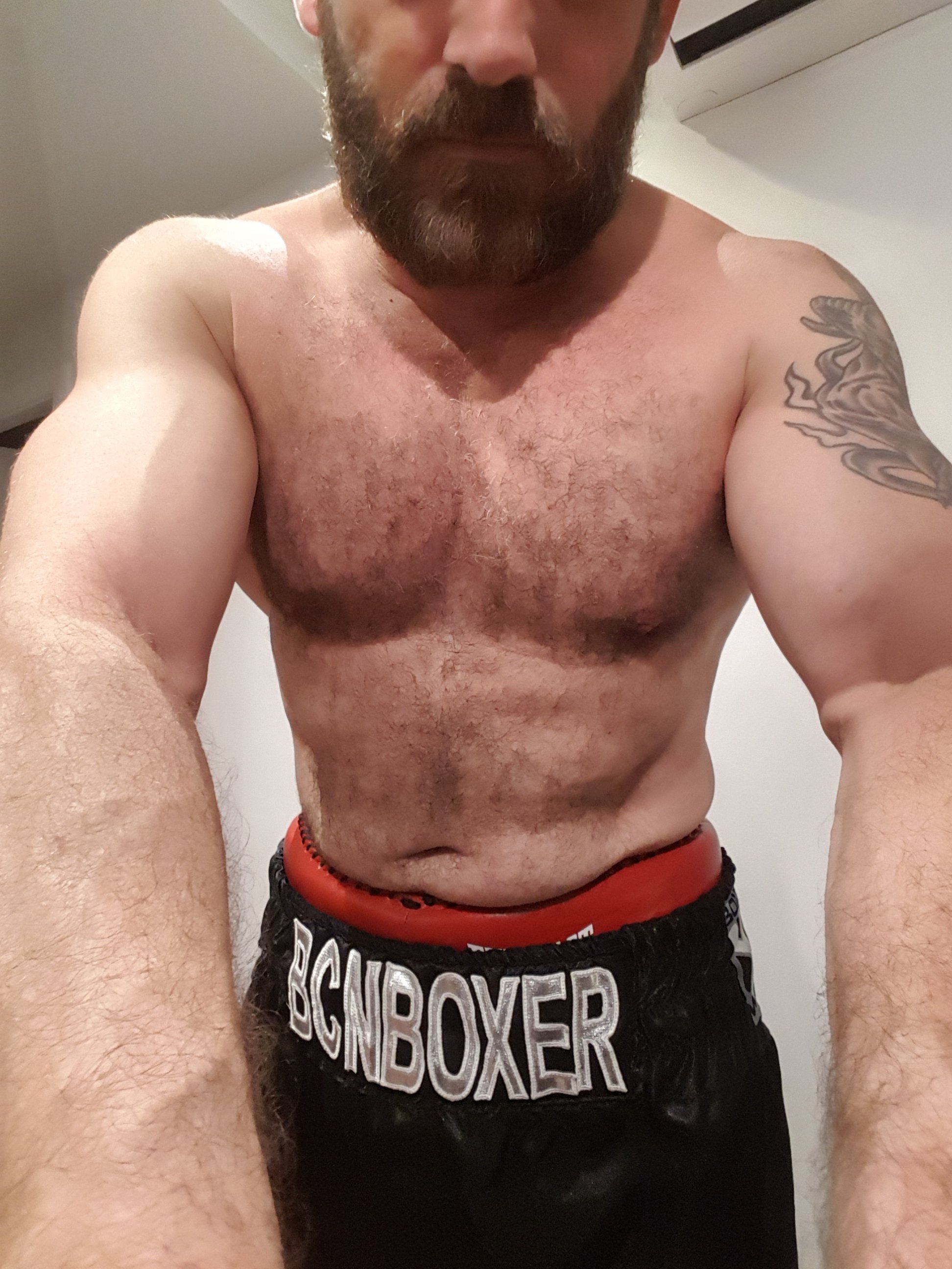 Boxer into fighting and cockfighting. Any challenger?