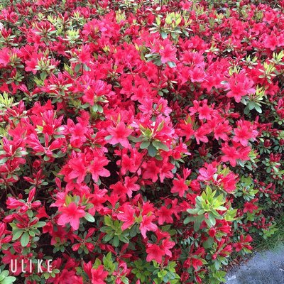 donotopen__'s profile picture. .