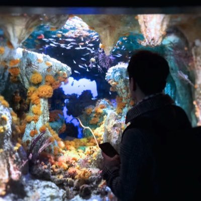 22歳/ラーメン大好き/ いろんな情報を知りたいです🤔副業、ビジネス模索中