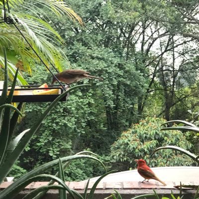 Etereo__'s profile picture. ...No confunda personalidad con actitud. Personalidad es lo que soy, mi actitud depende de lo que sea usted...#CatLover