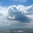 Melissa Maass, RVT - @rodeogoer - Twitter