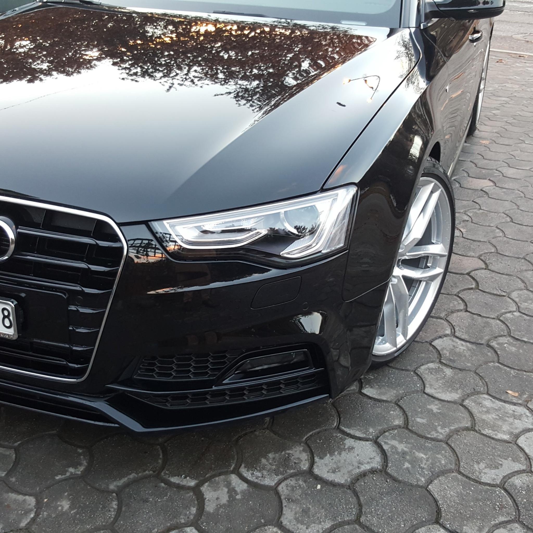 GTifeki's profile picture. 