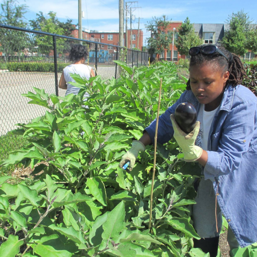 Urban farmer and advocate for African self-determination.
https://t.co/LTIlJacMLq