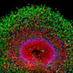 Song and Ming Labs (@upenn_songming) Twitter profile photo Song and Ming Labs (@upenn_songming) Twitter profile photo
