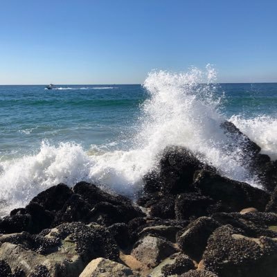 JanieDances's profile picture. Loving Outlander! 😎