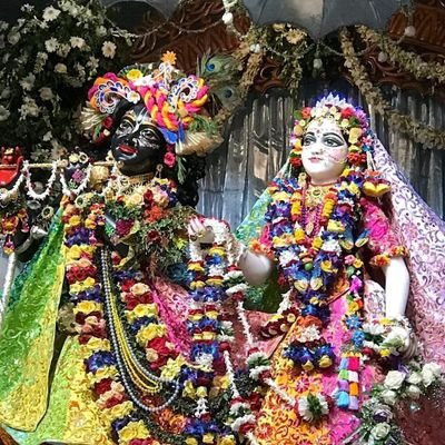 akshayadash15's profile picture. 