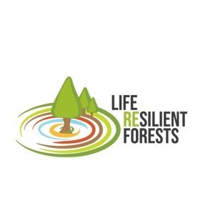 Somos un proyecto de investigación europeo del programa LIFE, que busca mejorar la gestión de los bosques frente al cambio climático