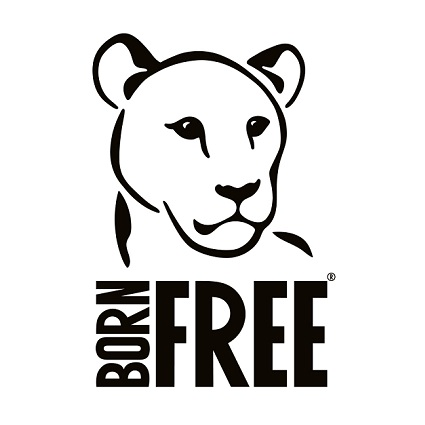 BornFreeFDN Profile Picture