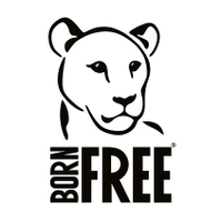 Born Free Foundation (@bornfreefdn) 's Twitter Profile Photo Born Free Foundation (@bornfreefdn) 's Twitter Profile Photo