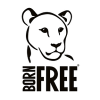 Born Free Foundation(@BornFreeFDN) 's Twitter Profileg