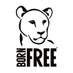 Born Free Foundation (@bornfreefdn) Twitter profile photo Born Free Foundation (@bornfreefdn) Twitter profile photo