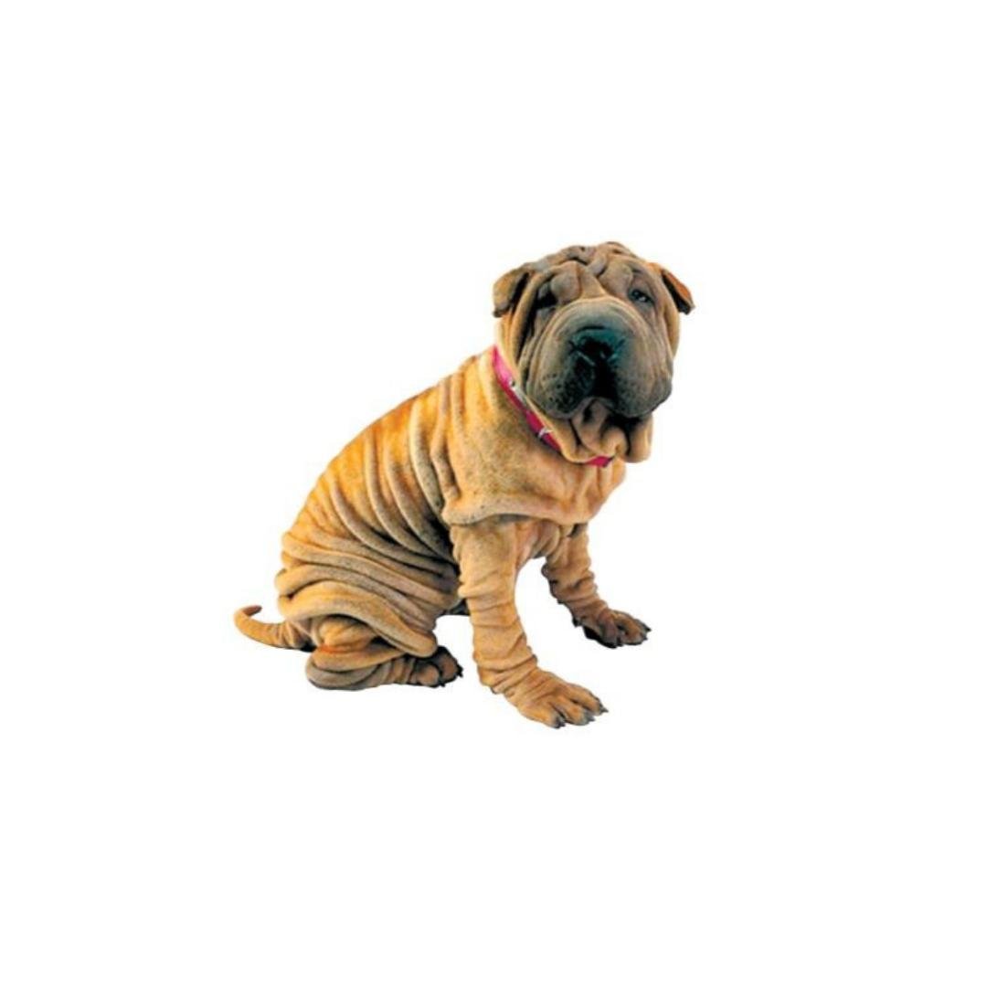 medical_call's profile picture. First Call is a Medical Staffing and Home Care Specialists Company with offices in Tulsa, Oklahoma City, and Springfield MO!