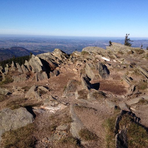 trend_europa's profile picture. Foundation Trend Europa