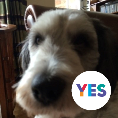 🏴Independence. Celtic. Architecture. Trees and Dugs!