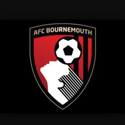 Football Holidays AFC Bournemouth supporter for ever!!