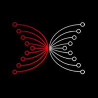 IOHK Steve (@iohk_steve) 's Twitter Profile