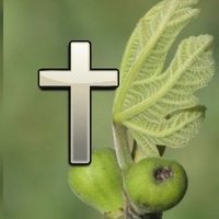 Tender Fig Branches(@FigTender) 's Twitter Profile Photo