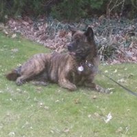 Eugene B Douglas (@brianurhumble) 's Twitter Profile