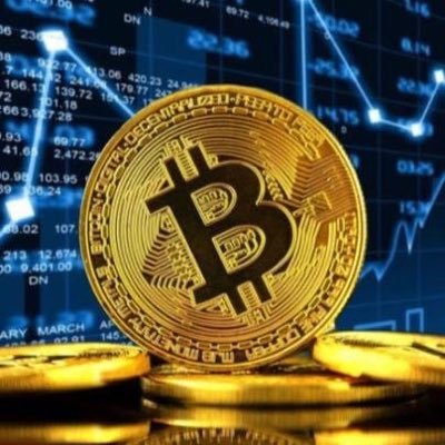 SkufersTon's profile picture. Новостной портал о криптовалютах