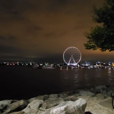 Treyplayerson's profile picture. Focused