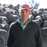 Mumblebone Merino Stud (@mumblebone1) 's Twitter Profile