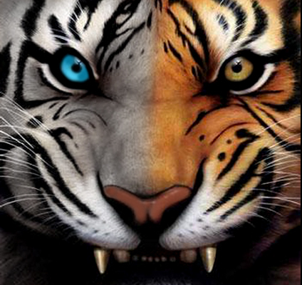 Kh4in3's profile picture. 