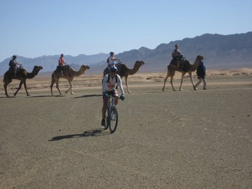 guide2002's profile picture. Tour guide in Morocco, glad to suggest trips in my contry to many user in Twitters