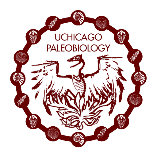Official Account for the Paleobiology Group at @GeoSci_UChicago.