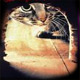 balinesecat's profile picture. Photographer. Office Gal at @RPWRHS and @Leather64ten. Former director of Read My Hips Dance Co.