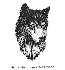 ProjectSky3's profile picture. Youtuber