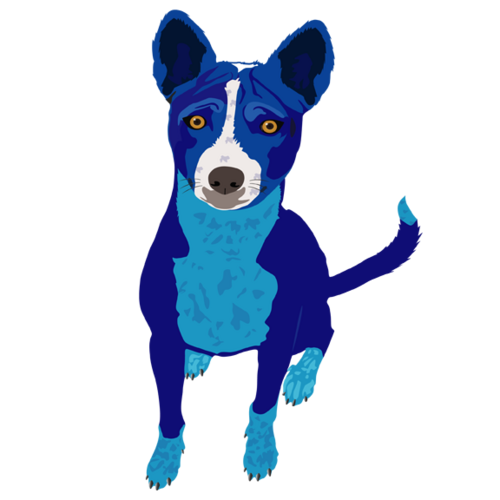 BlueDogsGroup's profile picture. The Blue Dogs Group was formed to promote progress and patriotism through service, experience, and leadership.