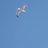 yatirim_rapor's profile image
