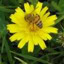 Sandra L - @SandraLucke - Twitter