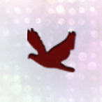 bwcchurch's profile picture. 