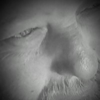 Jogi P (@jogip4) 's Twitter Profile