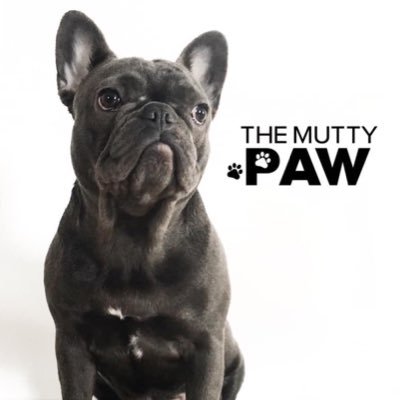 Mobile grooming for big dirty mutts, we’ll clean them up from their nose to their butts! A grooming environment for everyone 🐾 Based in Fort St John BC