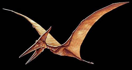 Skycharly's profile picture. Tennis
Hang Gliding
Motorcycles
Land Sailing
EUC