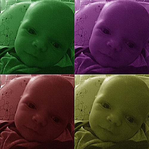 RudolfRobijn's profile picture. 