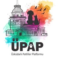 ÜPAP Üsküdarlı Patiler Platformu(@uskudarlipatile) 's Twitter Profileg