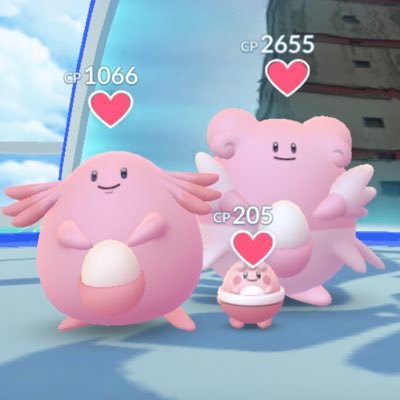 ハピナス ポケモンgo 京都 Go Twitter ハピナス ポケモンgo 京都 Go Twitter