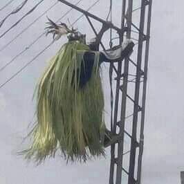 POWERSAFETYSUM1's profile picture. March ,2020  , 
Lagos ,West Africa