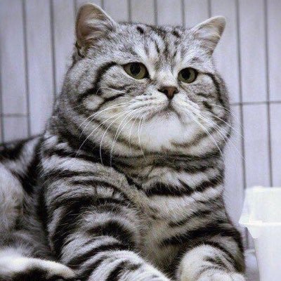 ntwptnp's profile picture. 