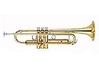 wilIiecolon's profile picture. Trompetista, salsero, músico, compositor.
Creativo!