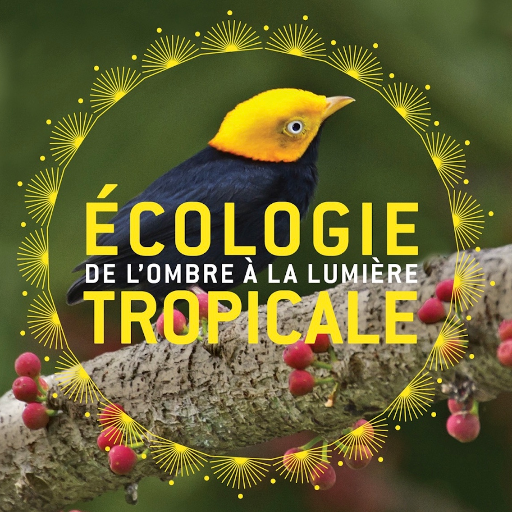 Tropical Ecology Lab Paris/Campus Brunoy 
@UMR_MECADEV @Le_Museum @INEE_CNRS 
#diversity #evolution #interactionnetwork #defaunation #anthropocene #gradient